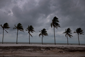'World's worst influencer' refused to leave her home due to Hurricane Milton despite possibility of death