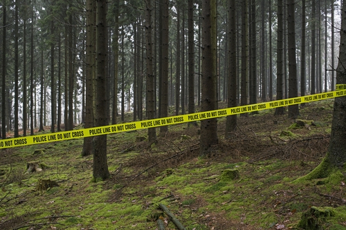Police issue statement amid growing fears of 'New England Serial Killer' as 12th body is found in 4 months