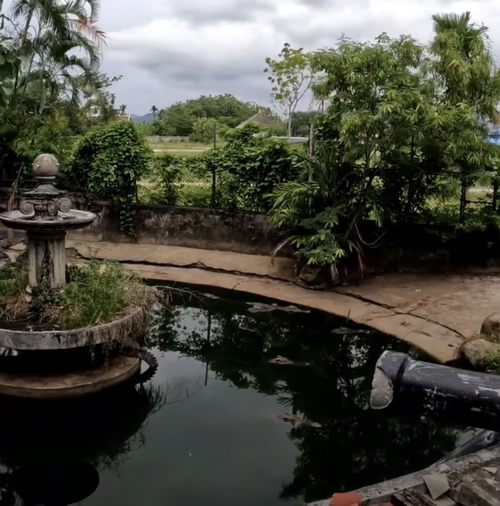 Man exploring abandoned zoo is stunned at what happens after throwing something into a pond