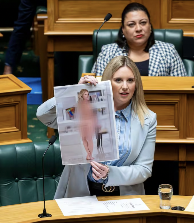 Politician speaks out on why she held up a nude photo of herself in Parliament