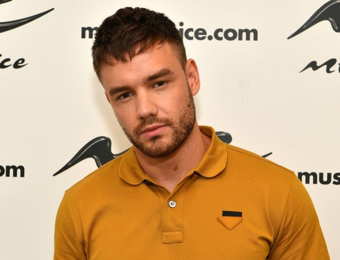 liam payne 