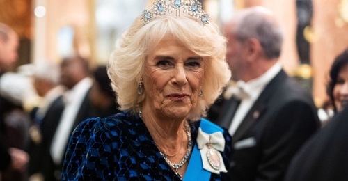 Queen Camilla shares pneumonia battle