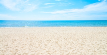 Paramedics take woman, 85, to the beach so she can see the ocean one final time
