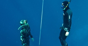 People are calling Netflix's new documentary 'the best they've ever seen in their lives'