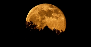 First supermoon of the year to light up skies tonight