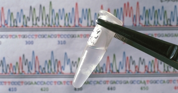 Identical-looking strangers with same name and job get DNA test to see if they are long-lost siblings