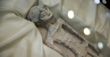 Experts weigh in on 'alien corpses' unveiled at Mexican public hearing