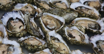 Authorities issue urgent warning as man dies after eating raw oysters from restaurant