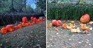 Priest issues apology after destroying kids' 'satanic' Halloween pumpkins