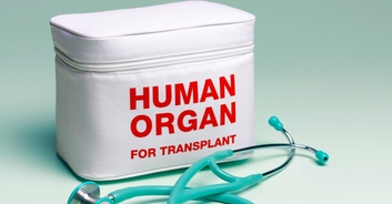 Woman who donated her kidney to help her boss claims she was fired for taking too long to recover