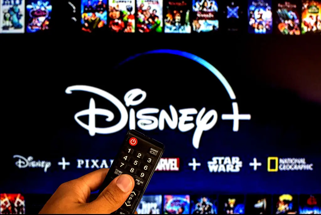 At least the family could watch Disney+ for the rest of their lives... Credit: SOPA Images/Getty