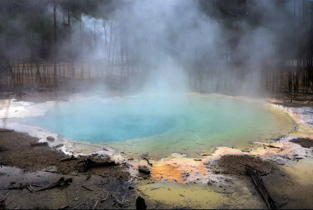 Credit:  Nano Calvo/VWPics/Universal Images Group/Getty