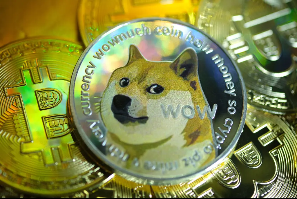 Kabosu became a cryptocurrency. Credit: Yuriko Nakao/Getty