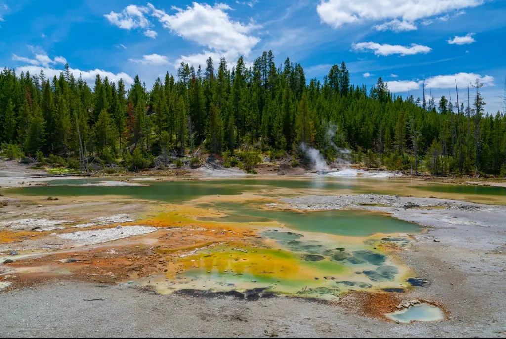 Credit: AaronP/Bauer-Griffin/GC Images/Getty