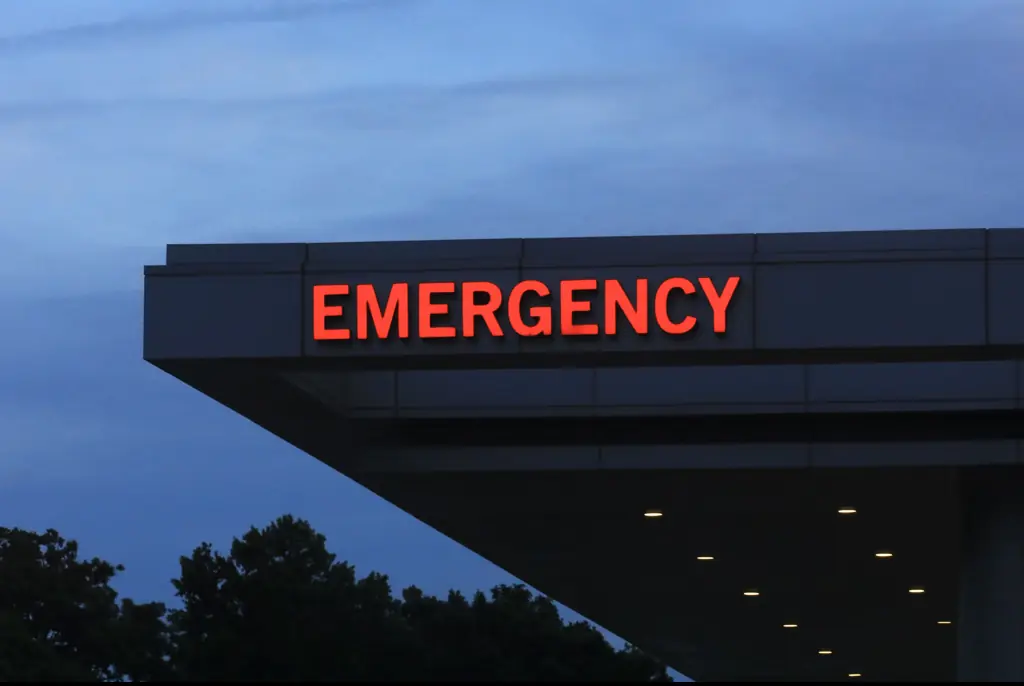 What was supposed to be a celebration turned into a trip to the emergency room. Credit: Douglas Sacha/Getty