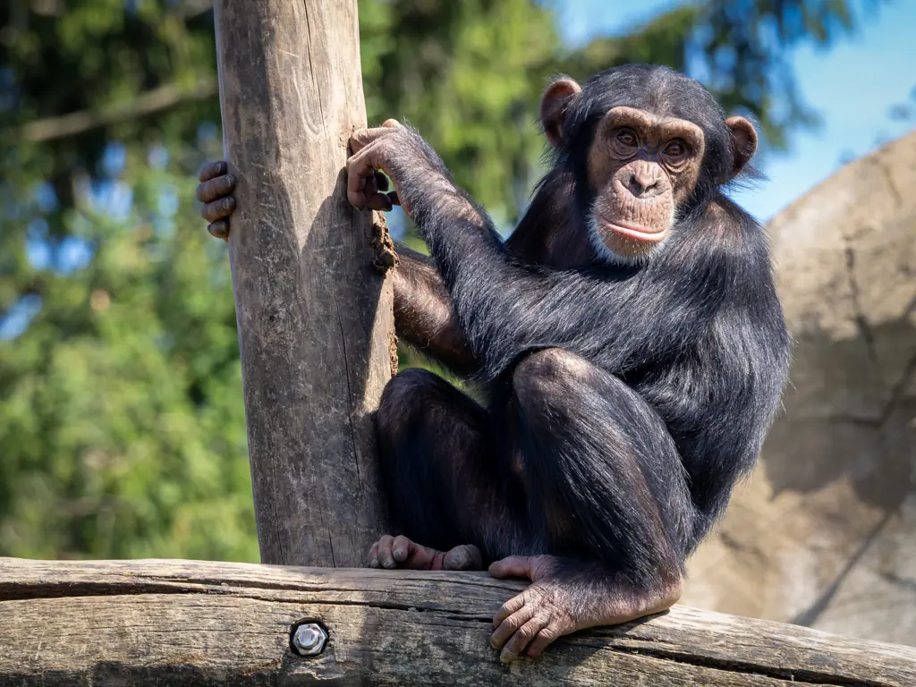 Credit: Anne-Marie Frei / 500px / Getty