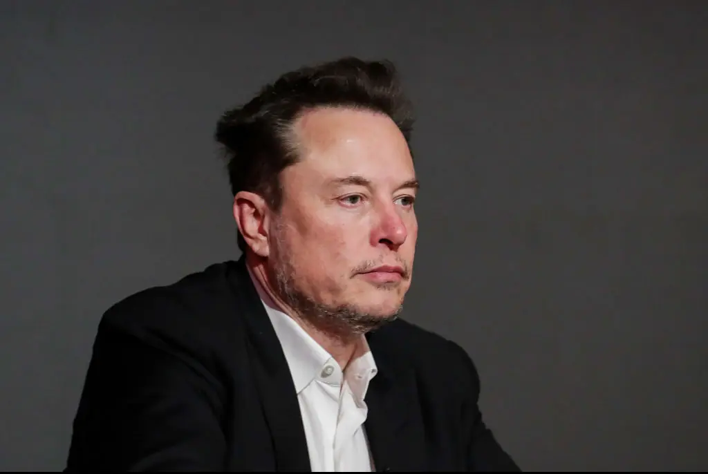 Vivian rejected all of Musk's claims. Credit: Grzegorz Wajda/SOPA Images/LightRocket/Getty