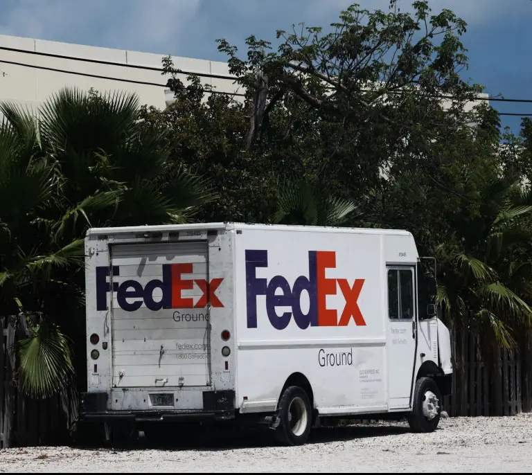 A FedEx driver has been accused of stealing a family's dog. Credit: NurPhoto / Getty