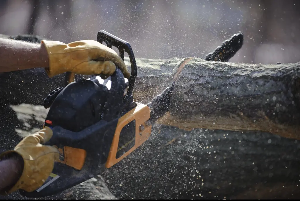 Chainsaws weren't originally invented to cut down trees. Credit: edelmar/Getty