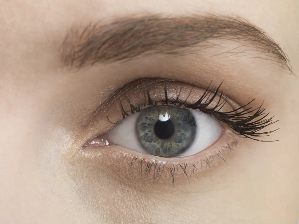 Grey eyes are now recognized as the rarest color. Credit: Jonathan Knowles/Getty