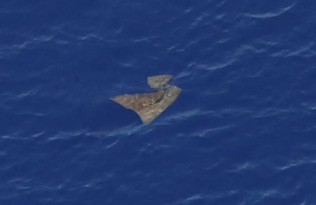 The search for the missing aircraft continues. Credit: Pool / Getty