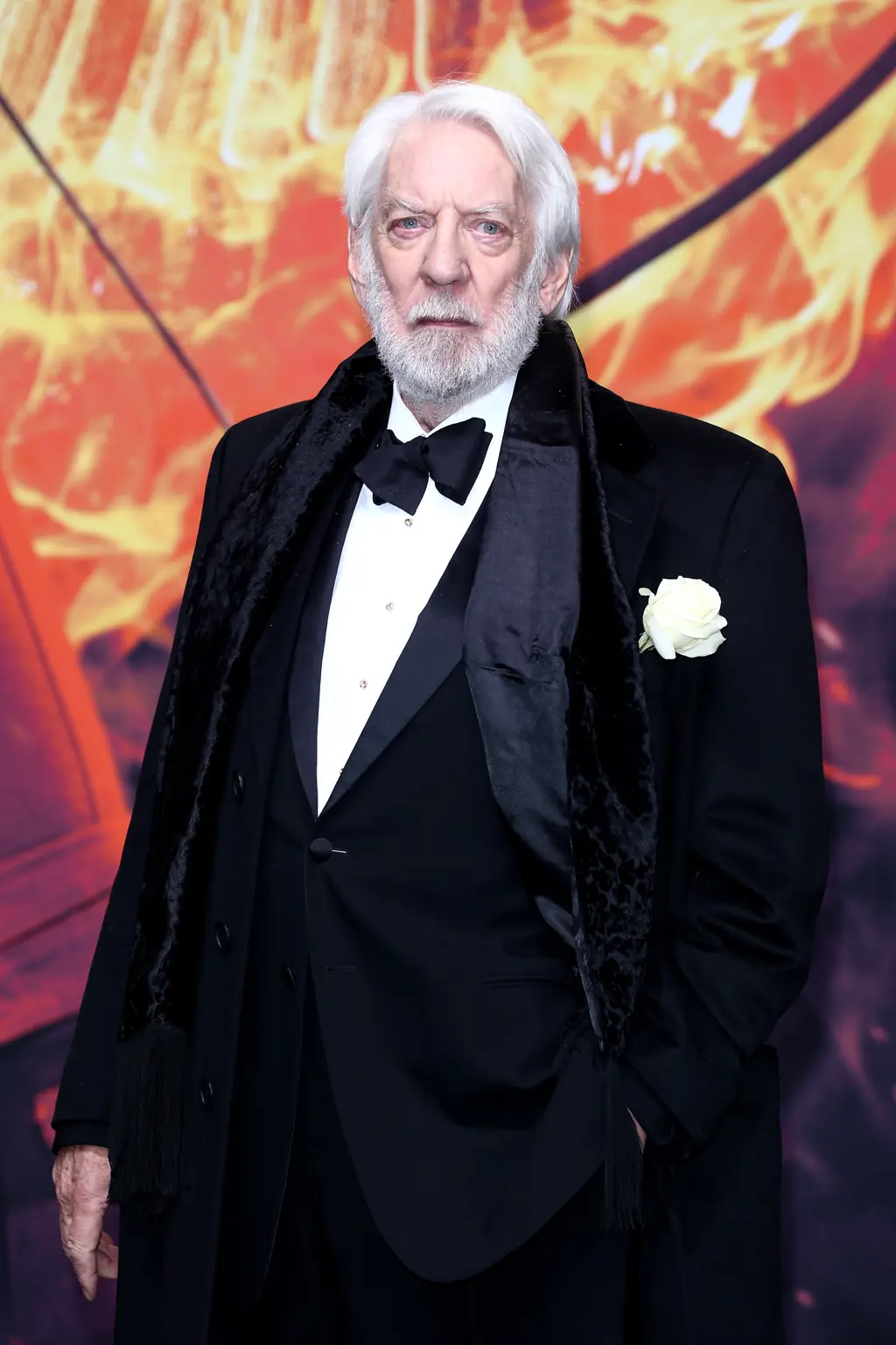 Donald Sutherland has died at the age of 88. Credit: Andreas Rentz / Getty