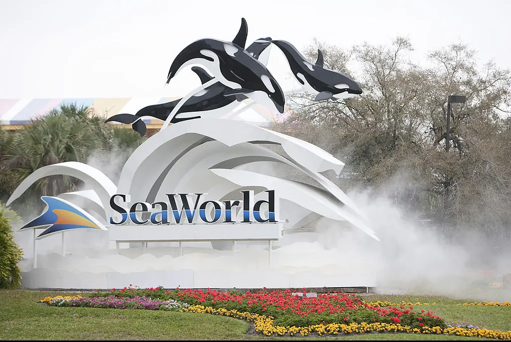Frey was fired from his job at SeaWorld after the minor altercation. Credit: Matt Stroshane / Getty