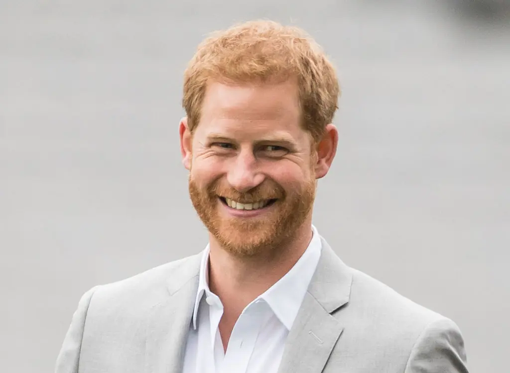 Harry is set to earn more than William. Credit: Samir Hussein/Getty