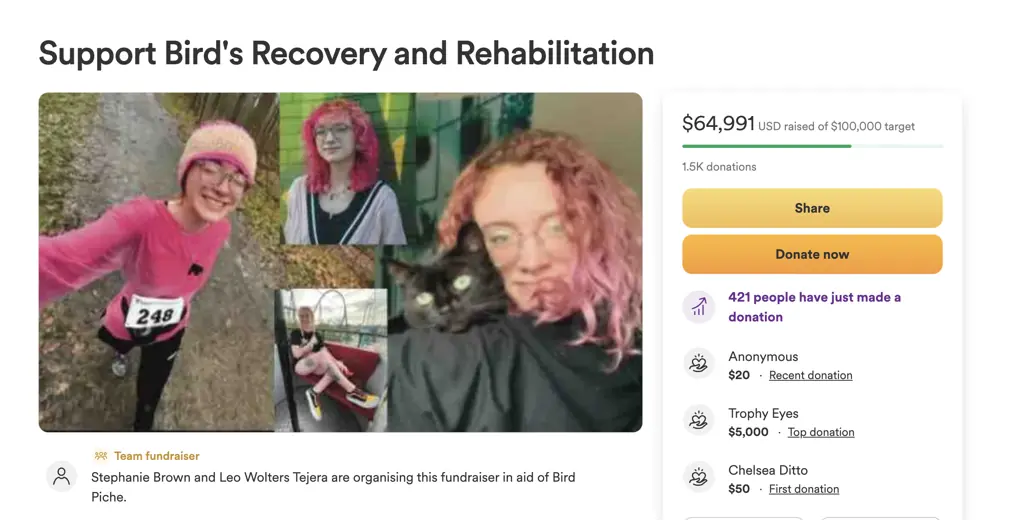 Credit: GoFundMe