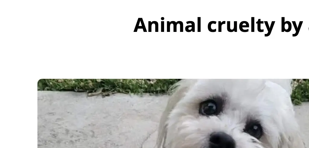 Credit: Change.org