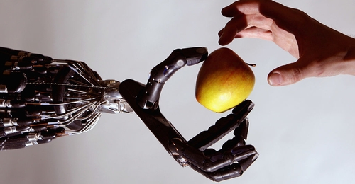 New life-sized robot helper that can do household tasks and even cook leaves people divided