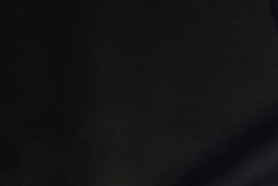 Public outraged after police car seen ramming cow multiple times, statement issued