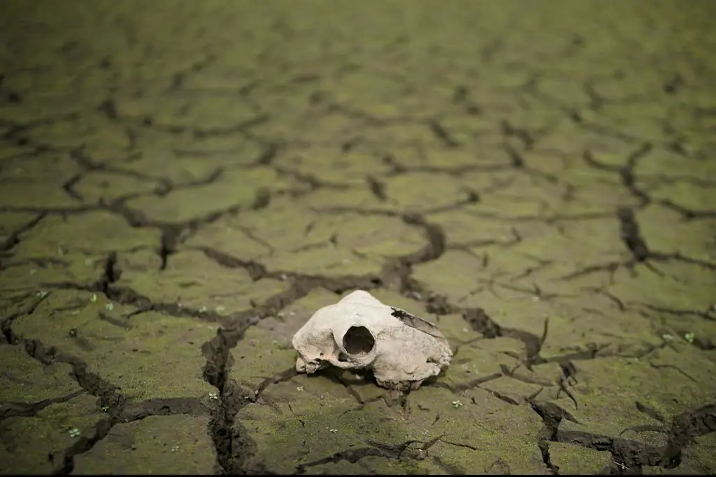 The planet could get too hot to live on. Credit: Christopher Furlong/Getty