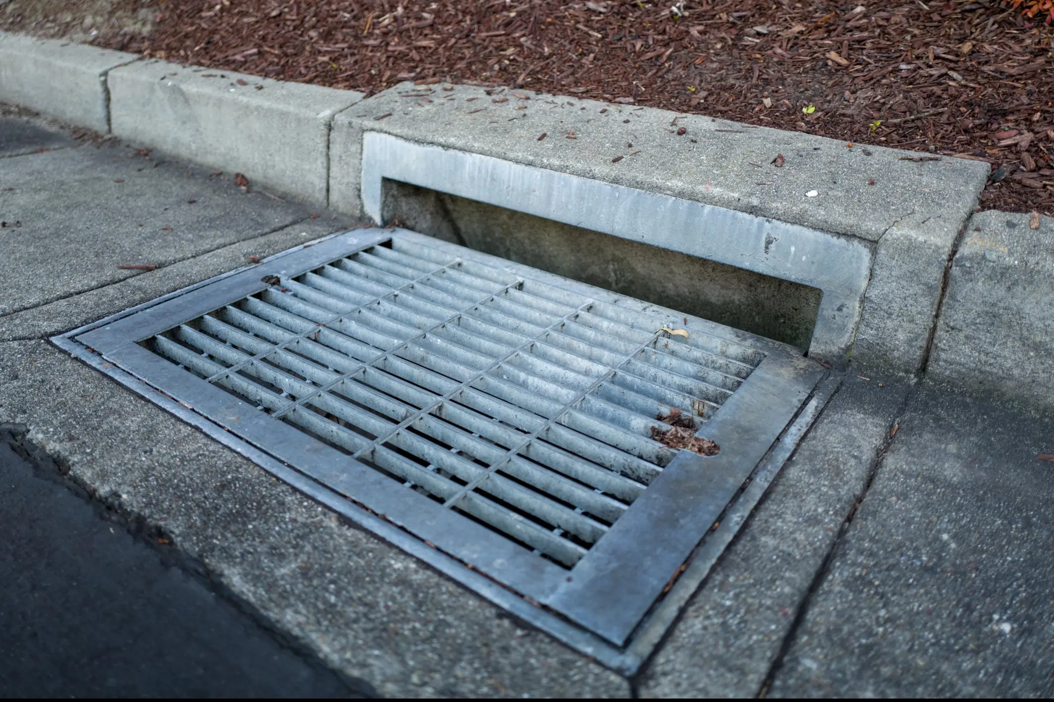 Asher was swept into a storm drain. Credit: Gado Images/Getty