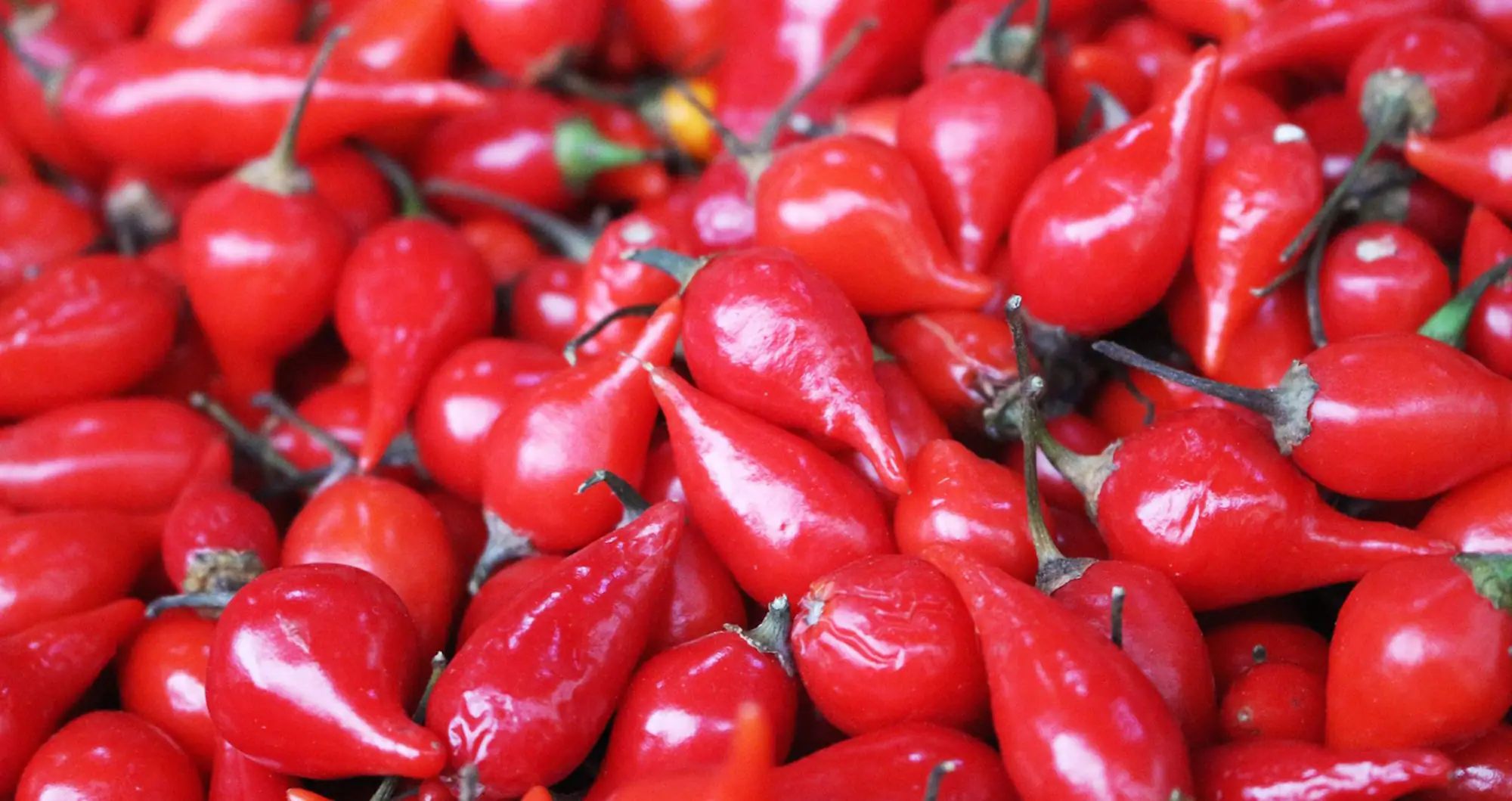 Who on earth invented chilli oil?
