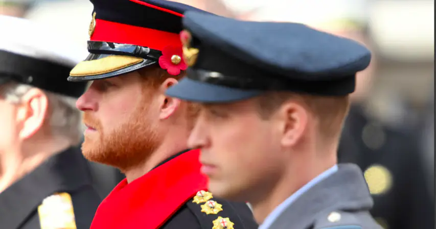 Prince Harry breaks military rule during remembrance day parade