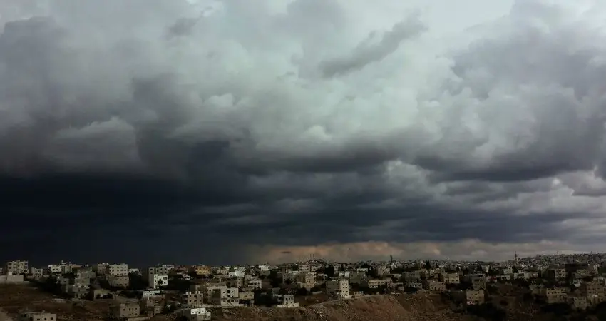 15,000 scientists just issued a 'warning to humanity'