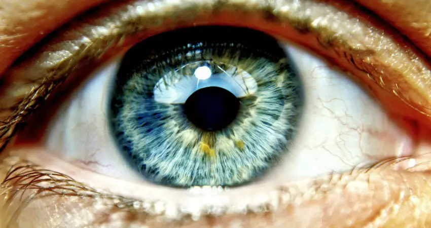 Colourblind brothers see each other in colour for the first time