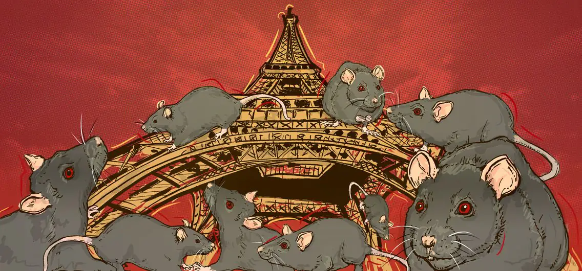 A rat 'genocide' is going down in Paris