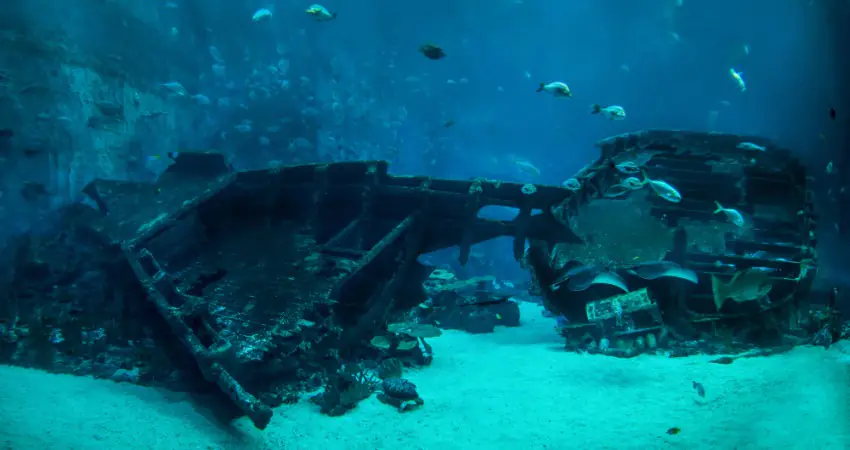 Three 2,000-year-old shipwrecks that hold Roman treasures have just been discovered
