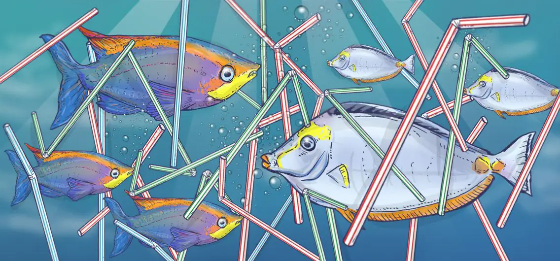 This county is on a mission to stop straws sucking the life out of our oceans