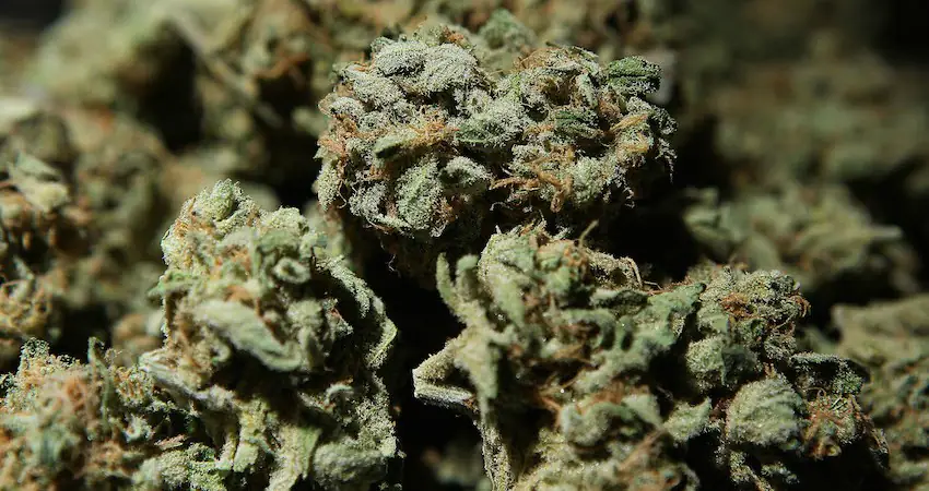 Drug dealers are attempting to fire narcotics into the US using bazookas