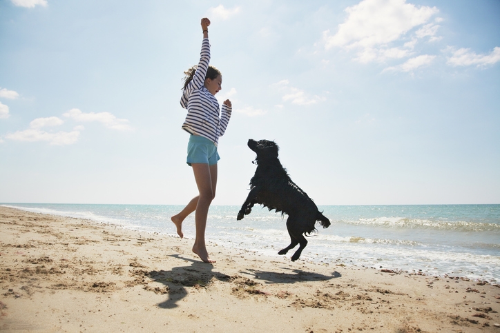 Girl playing with dog on beach