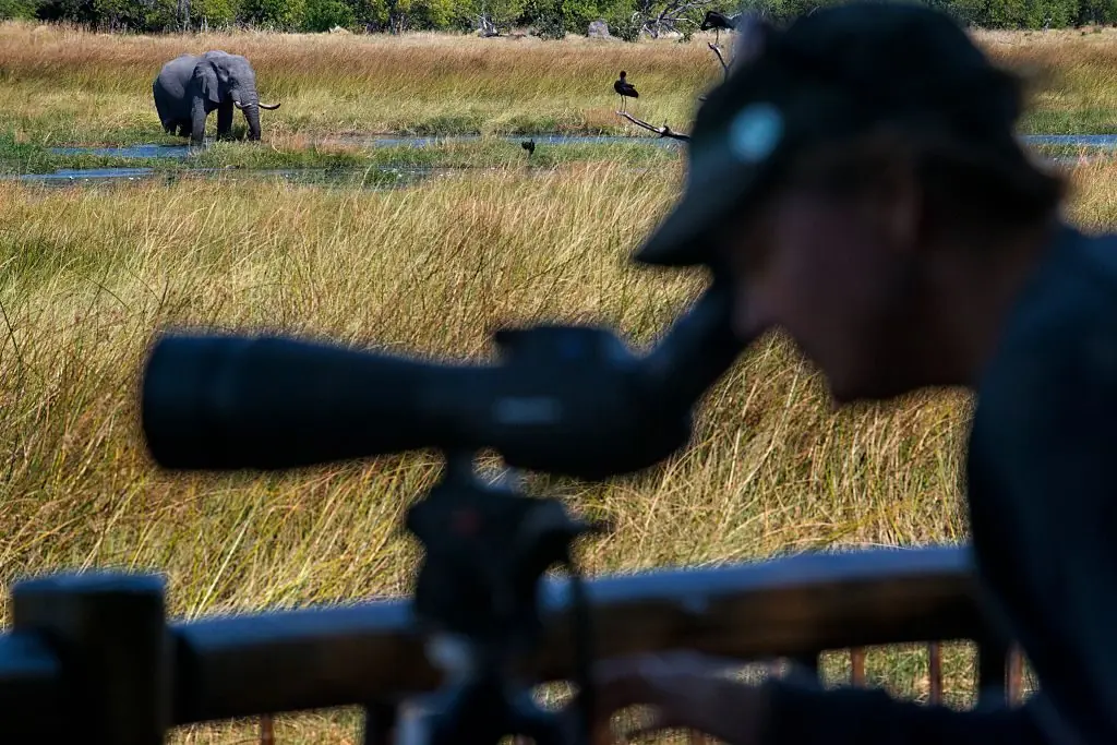 An elephant near Camp Khwai River Lodge by Orient Express in Botswana