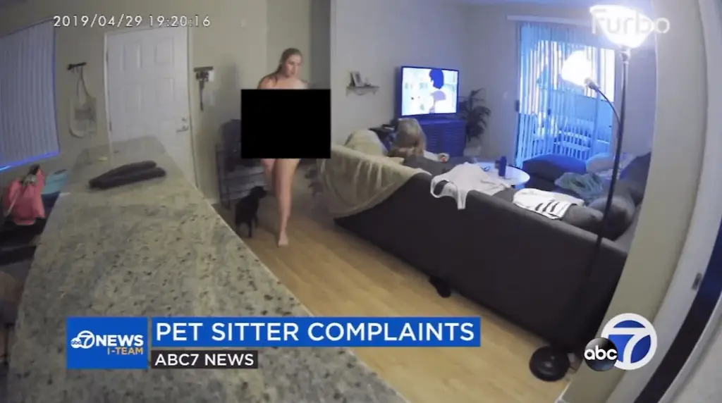 Dogsitter caught on camera