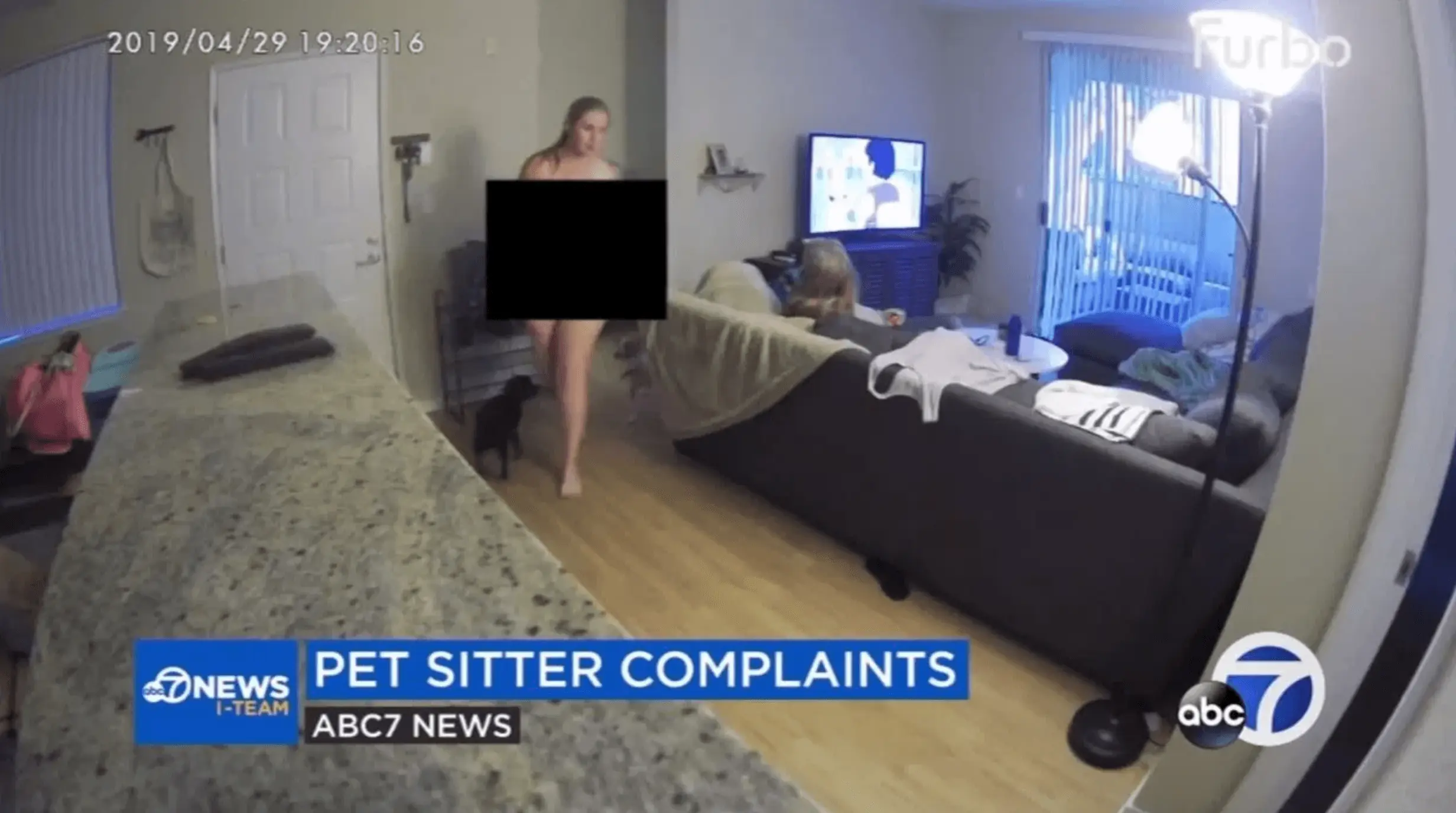 Dogsitter caught on camera