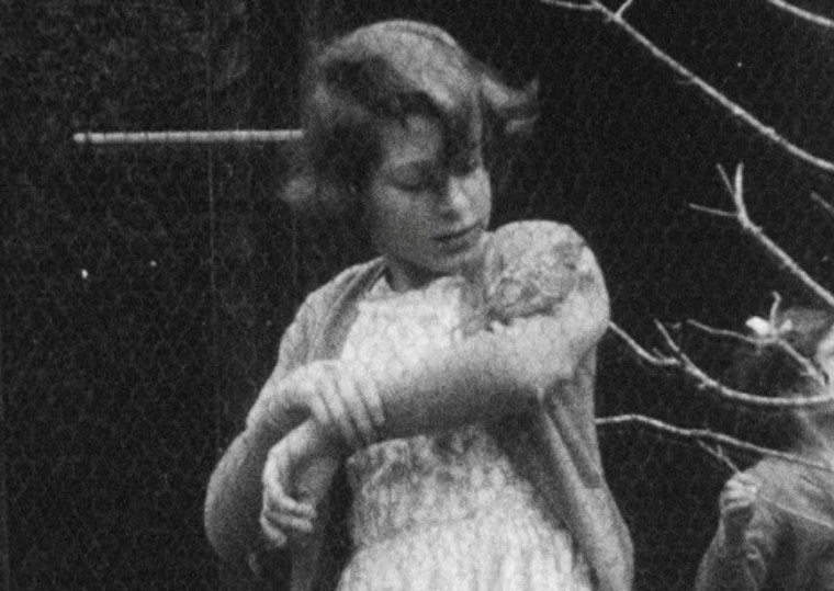 Archive footage of the Queen with a bird on her arm. 