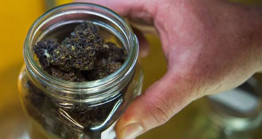 Oregon has so much weed, it could literally take years to smoke it all
