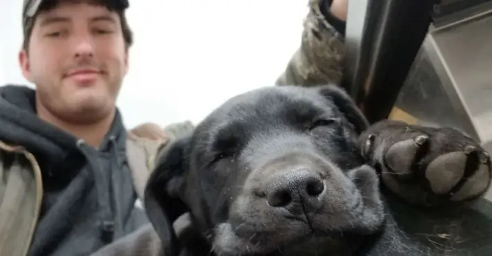 Deaf man adopts deaf rescue puppy dog and teaches it sign language