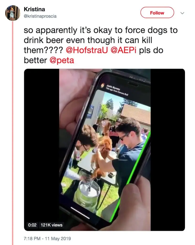Tweeted video allegedly showing fraternity making a dog drink beer. 
